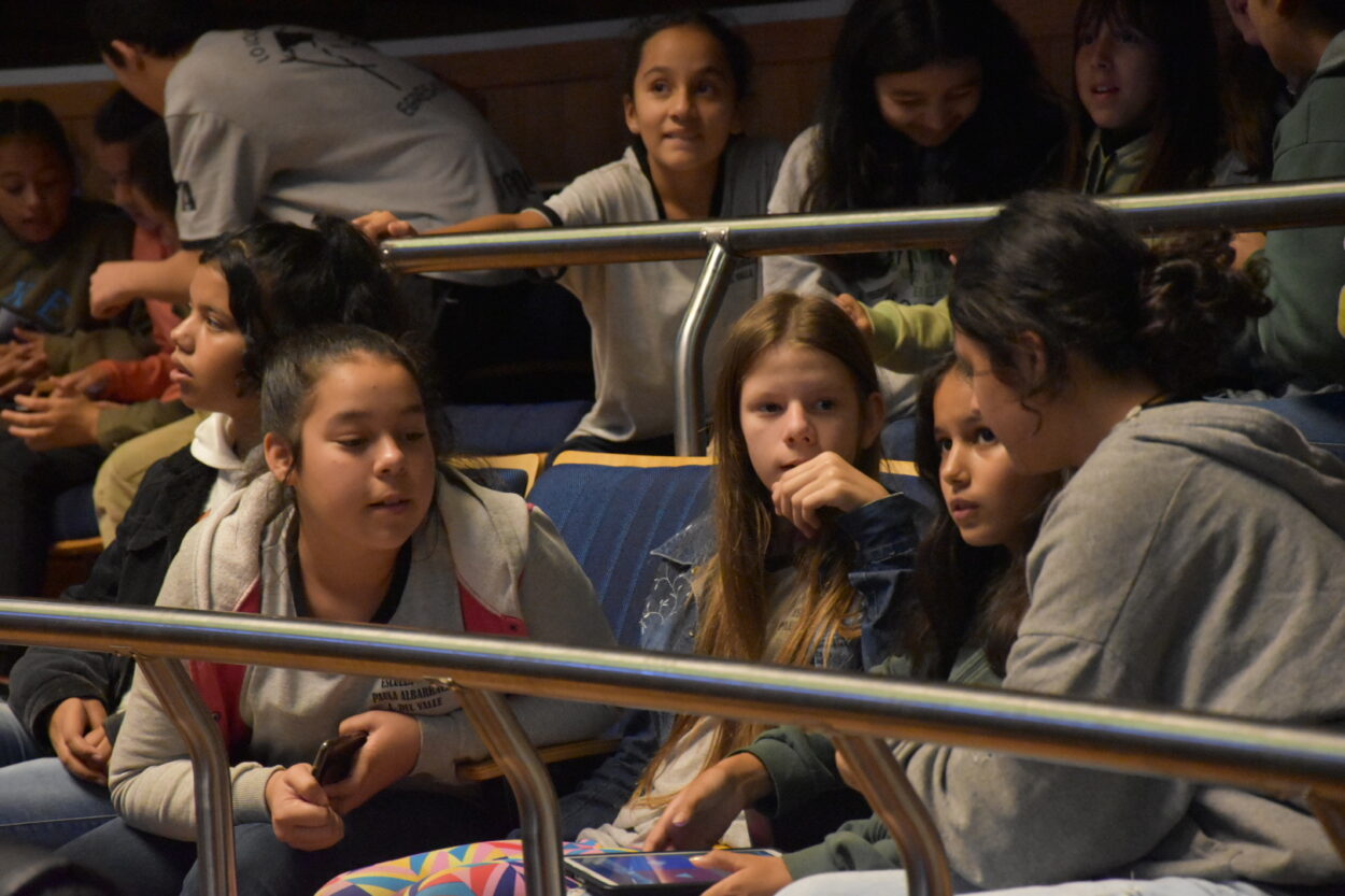 Estudiantes de Aristóbulo del Valle, Eldorado y Puerto Rico conocieron la historia y el funcionamiento del Poder Legislativo imagen-4