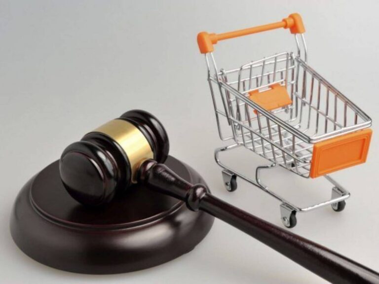 Nace nuevo organismo destinado a consumidores: de qué se trata imagen-45