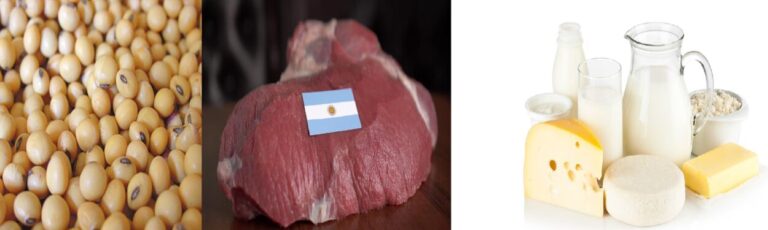 Simplificaron los requisitos para la exportación de granos, carnes y lácteos imagen-8