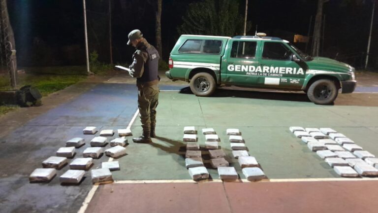 Secuestran en Colonia Delicia más de 133 kilos de marihuana imagen-20