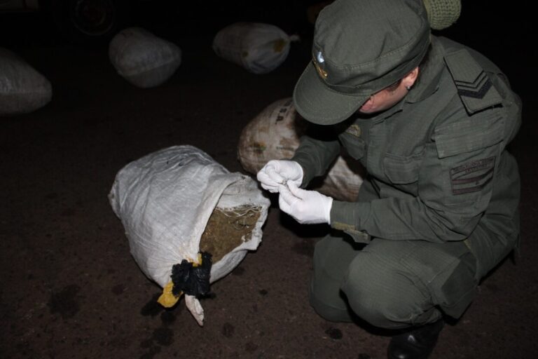 En la ruta y en el monte: Gendarmería detuvo a dos mujeres y secuestró 137 kilos de marihuana y 8 kilos de cocaína imagen-41