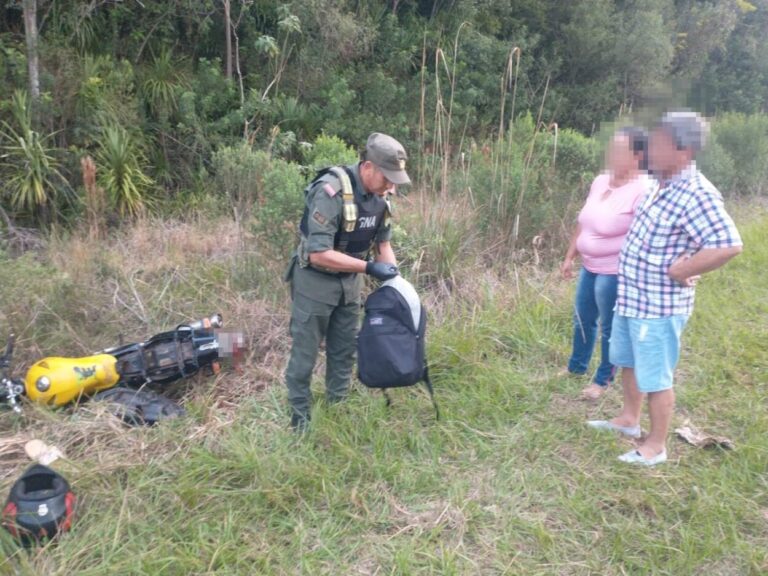 Gendarmes incautaron cocaína y cogollos de marihuana en diferentes controles viales imagen-35