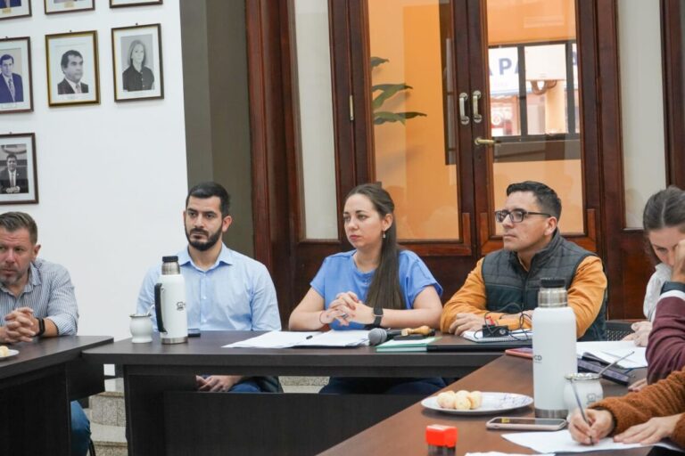 Concejo: analizaron en Comisión la problemática del robo de cables en Posadas imagen-47