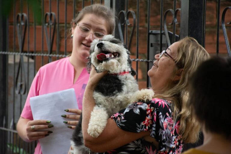 El Imusa amplía su cobertura con atención veterinaria en los barrios posadeños imagen-30