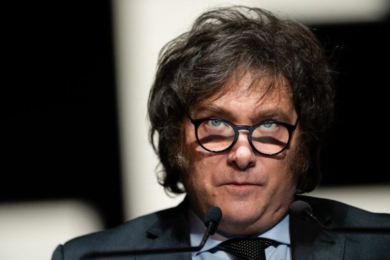 La ONU criticó la gestión de Javier Milei en Derechos Humanos imagen-47