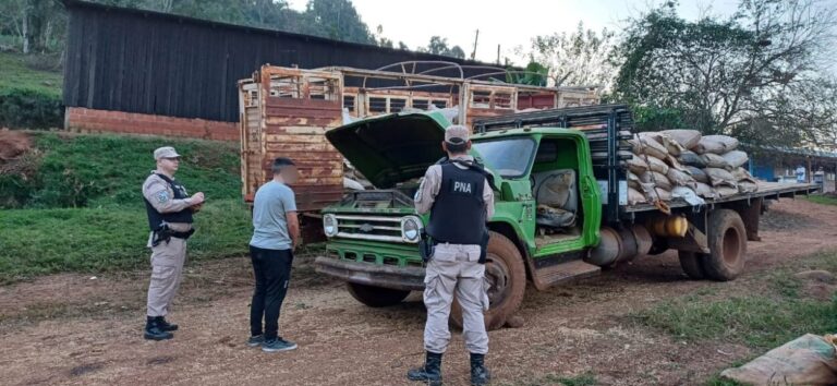 Prefectura evita la fuga de más de 10 toneladas de soja ilegal en la provincia imagen-43