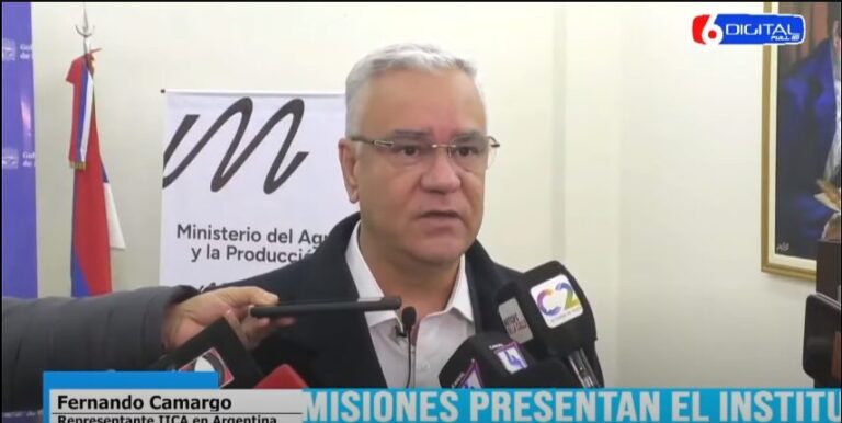 El representante del Instituto Interamericano de Cooperación para la Agricultura destacó la importancia estrategica de Misiones respecto a la bioeconomía imagen-48