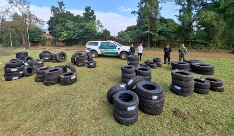 Como resultado de diferentes allanamientos: secuestran 238 cubiertas en Misiones y Buenos Aires imagen-34