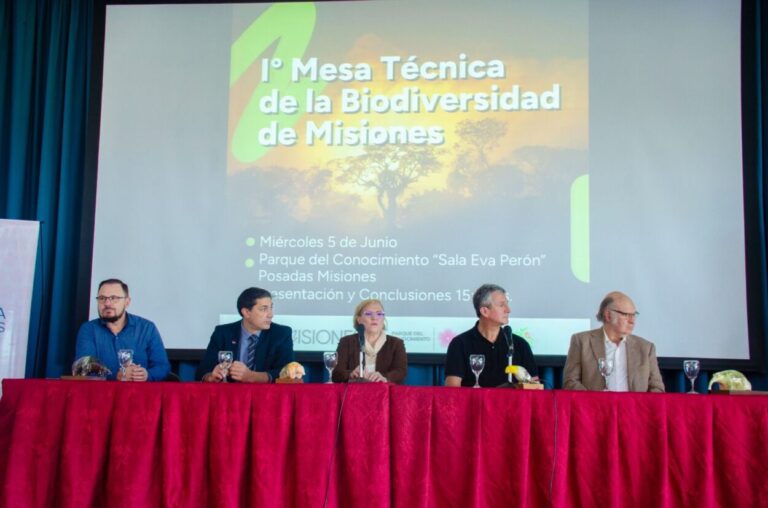 En el Día Mundial del Medio Ambiente, científicos que trabajan en Misiones se reunieron para determinar la cantidad de especies que habitan en la provincia imagen-37