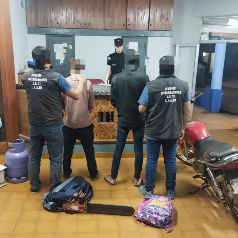 Acciones preventivas policiales en Misiones: detenciones y decomiso de objetos sustraídos imagen-19