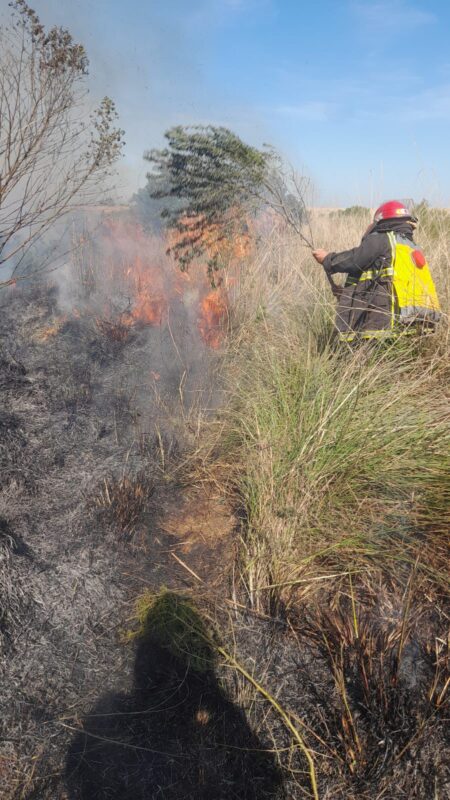 Intenso trabajo de lucha contra el fuego de los bomberos de la Policía en Posadas Intenso trabajo de lucha contra el fuego de los bomberos de la Policía en Posadas imagen-8