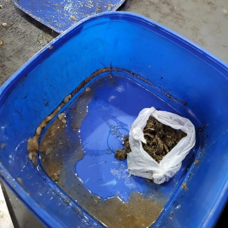 Detectaron marihuana en una vianda destinada a un detenido de una comisaría imagen-22