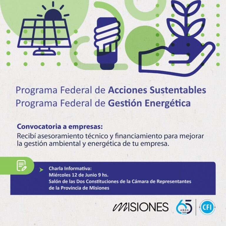 Asesorarán a pymes sobre programas federales energéticos imagen-37