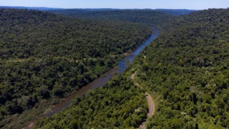 En el Día de las ANP, Misiones celebra las 500 mil hectáreas que protege el Sistema Provincial imagen-1