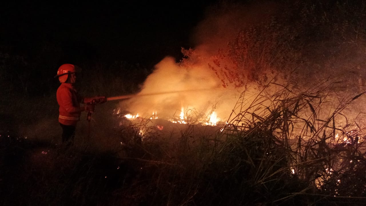 Tras varias horas de trabajo logran extinguir incendios de malezas en Garupá imagen-2