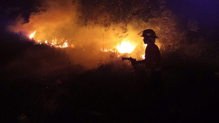 Tras varias horas de trabajo logran extinguir incendios de malezas en Garupá imagen-12