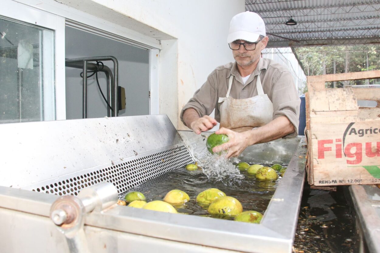 En Puerto Esperanza la tecnología y la sostenibilidad marcan el rumbo de la agroindustria misionera imagen-4