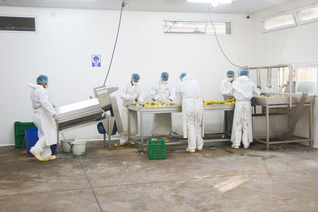 En Puerto Esperanza la tecnología y la sostenibilidad marcan el rumbo de la agroindustria misionera imagen-6