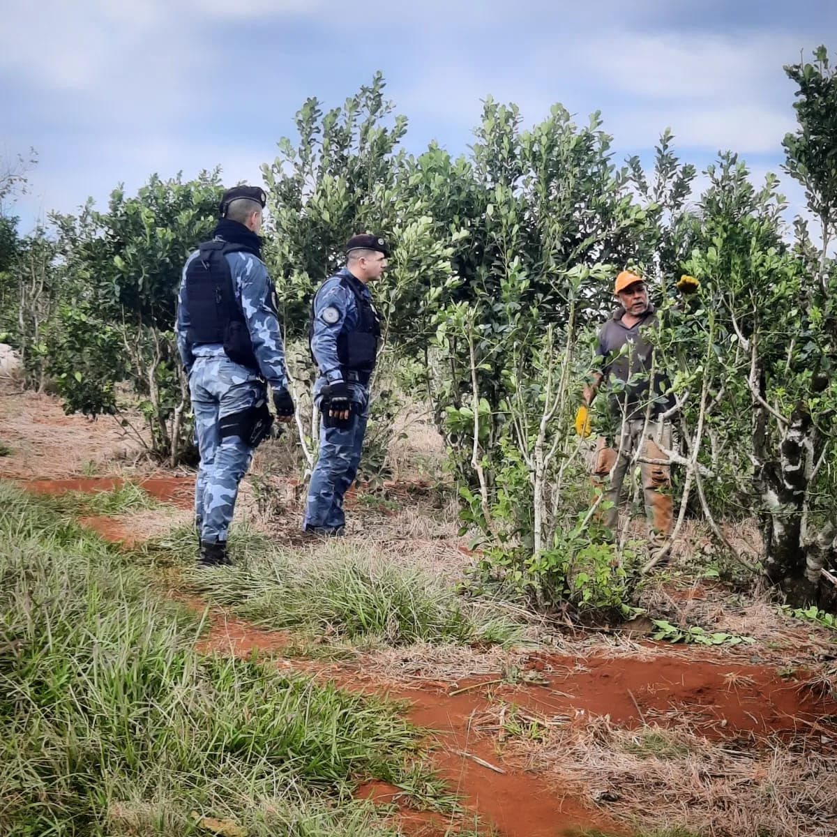 Finde XL con comandos integrados para la seguridad en Misiones imagen-4