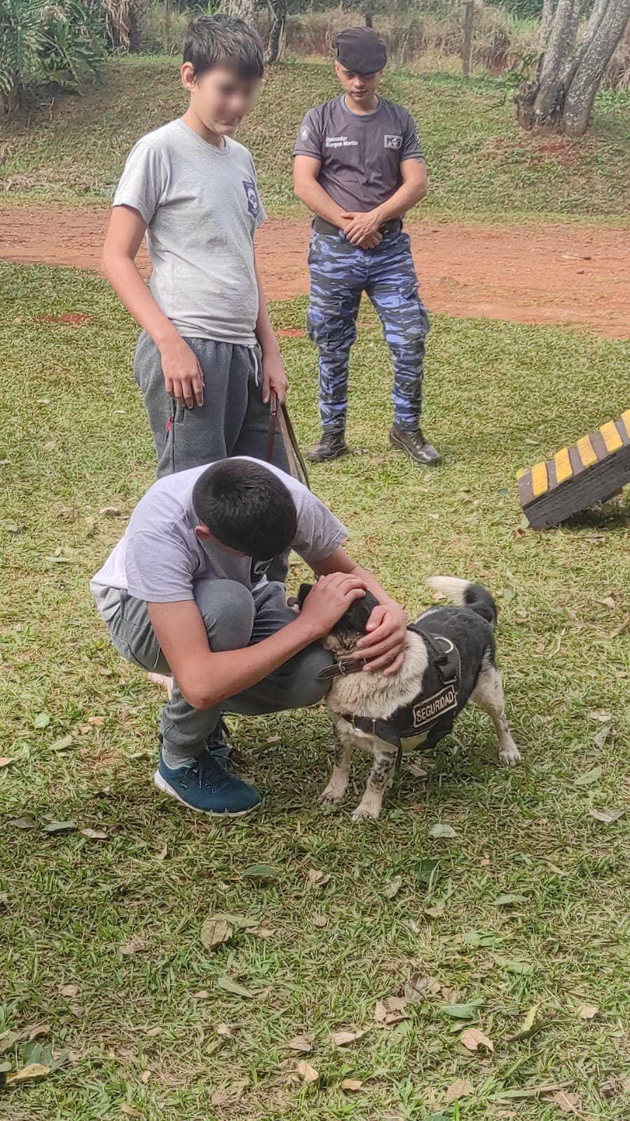 Finde XL con comandos integrados para la seguridad en Misiones imagen-12