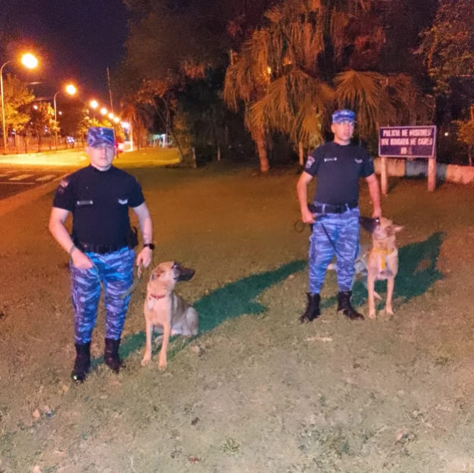 La Policía de Misiones colabora con drones y canes en la búsqueda del niño Loan Peña en Corrientes imagen-4