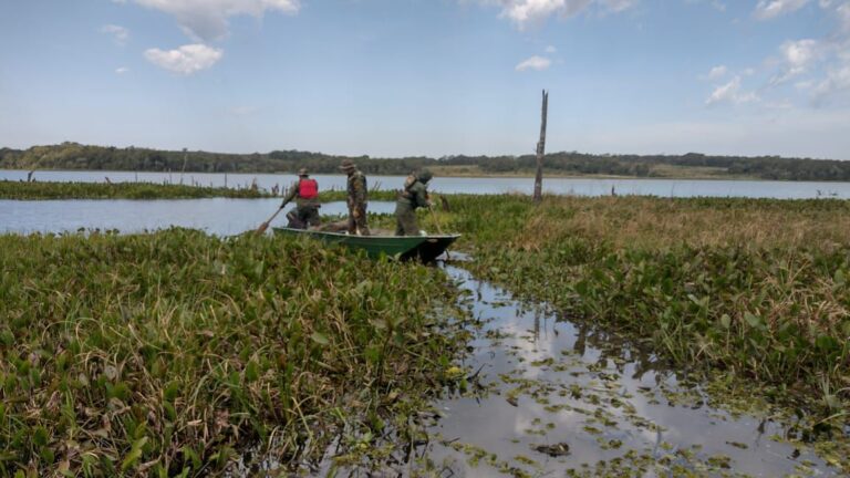 Campo San Juan: ejecutaron un operativo para monitorear especies, registrar el patrimonio cultural y desalentar a cazadores furtivos imagen-25