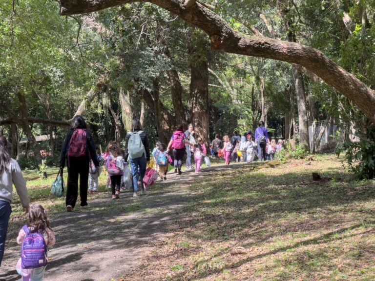 Tarde de Eco-Educación en el Jardín Botánico, este sábado imagen-41