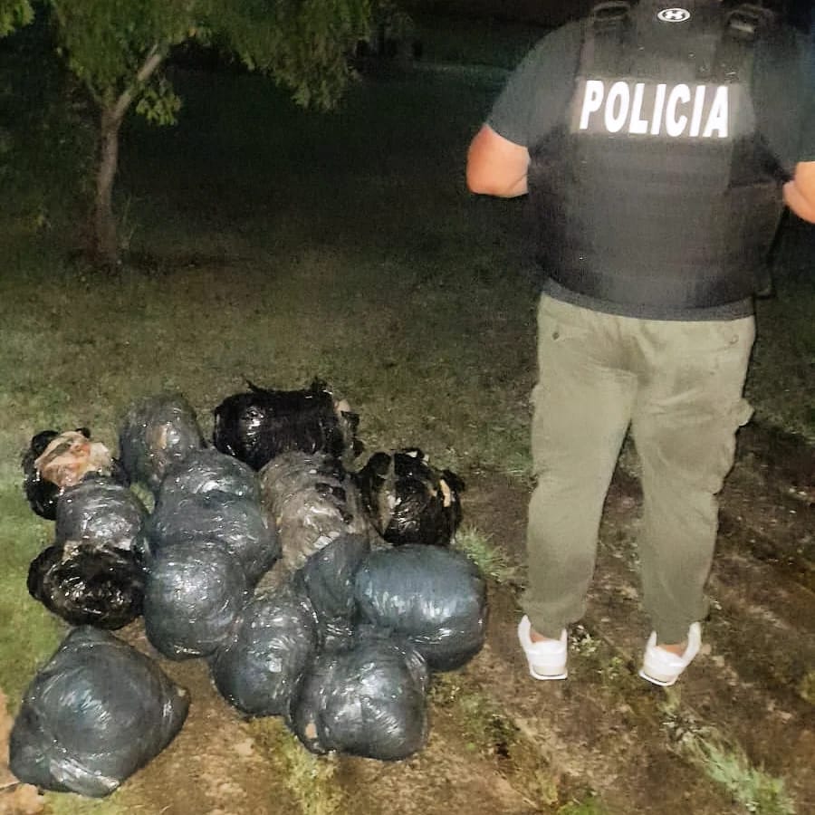 Agentes encubiertos evitaron la distribución de más de 30 kilos de marihuana en Posadas imagen-4