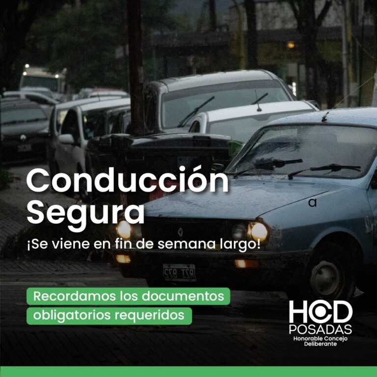 Conducción segura: se recuerdan los documentos obligatorios y consejos para viajeros durante el fin de semana largo imagen-33