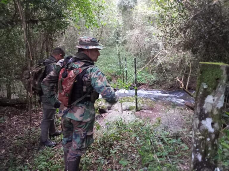 Recorren límites del Parque Salto Encantado y detectan actividad de cazadores furtivos imagen-31