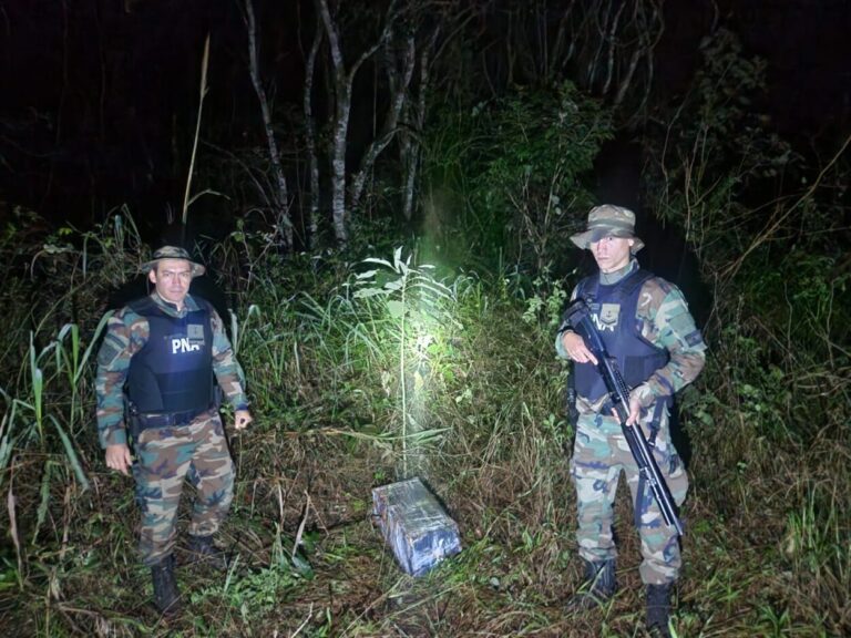 Hallaron una bolsa arpillera que contenía 29 paquetes de marihuana imagen-9