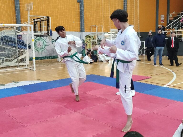 Encuentro Municipal de Taekwon-Do convocó a 250 niños y adolescentes de Posadas imagen-22