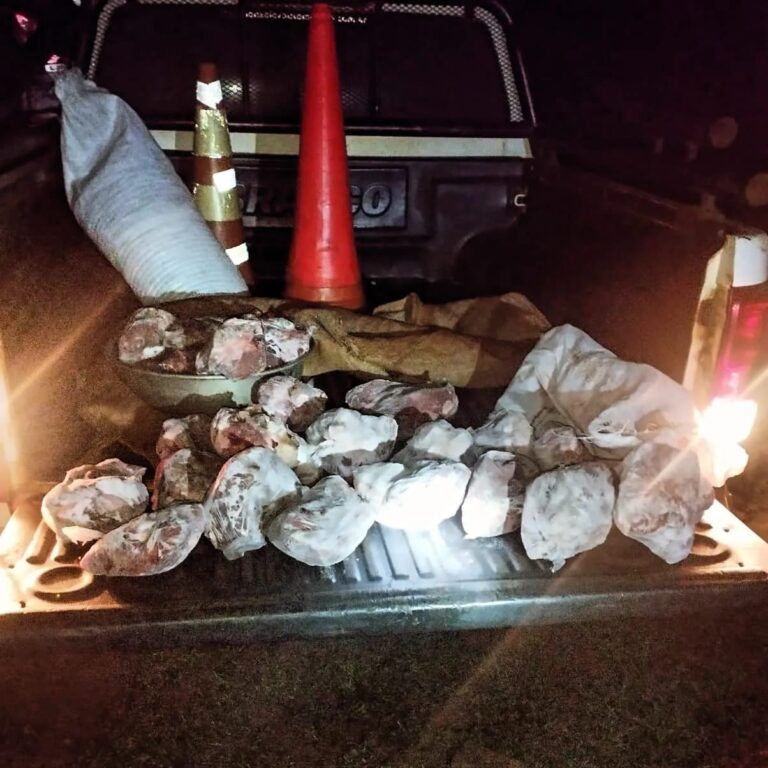 Tres ladrones de ganado fueron capturados por la Policía con carne vacuna faenada imagen-49