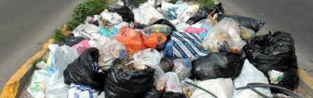 Basura, agua y energía las preocupaciones de los más chicos sobre el ambiente imagen-7