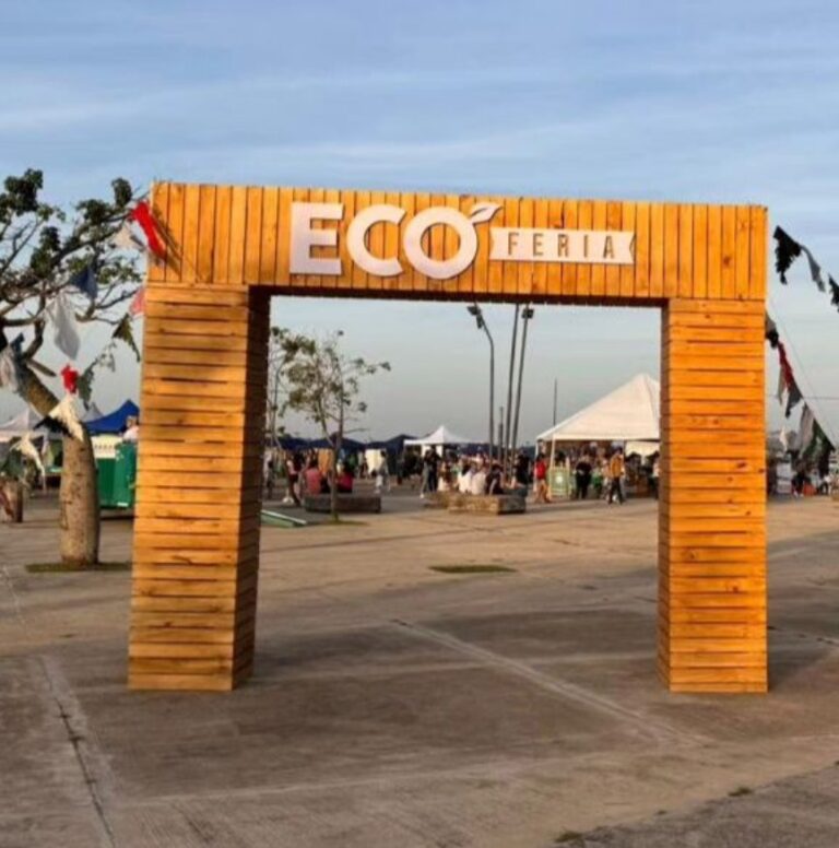 Promueven la Economía Circular con la Ecoferia imagen-23