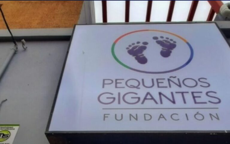 Legislatura: destacan el trabajo de la Fundación "Pequeños Gigantes" y la participación en la 54ma Asamblea General de la OEA que se realiza en Asunción imagen-37