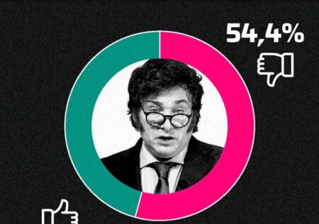 Encuesta: a seis meses de asumir, el 54,4% desaprueba la gestión Milei Encuesta: a seis meses de asumir, el 54,4% desaprueba la gestión Milei imagen-5