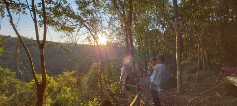 Invitan a disfrutar de una Jornada de observación de aves en libertad en el Parque La Cruz imagen-24