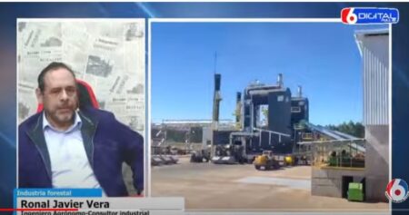 La crisis foresto-industrial se agudiza y estiman que pocas empresas del rubro podrán subsistir si no apuran la búsqueda de nuevos mercados imagen-9