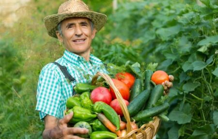 En mayo 2024, el nivel general del Índice de Precios de Ferias Francas en Posadas aumentó el 2,9% respecto a abril imagen-3