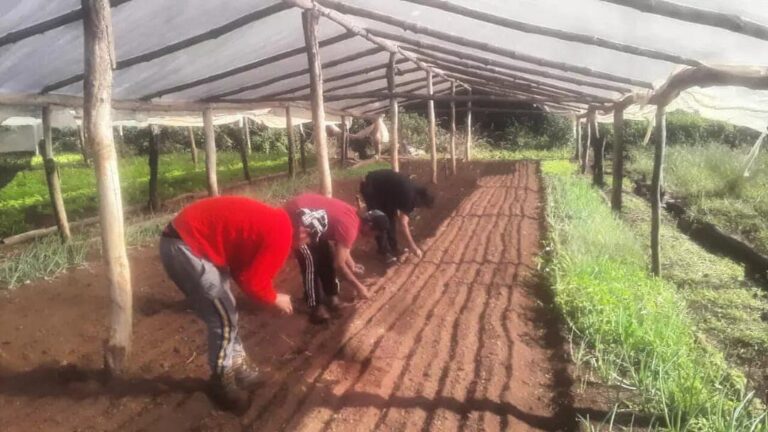 Cooperativa del Pueblo Evita: trabajo colectivo y soberanía alimentaria imagen-46