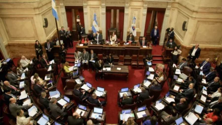 El Senado le advirtió al Gobierno que buscará debatir la nueva fórmula jubilatoria a más tardar el 15 de agosto imagen-6