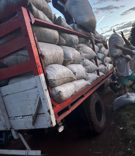 El Inym intervino e inutilizó más de 5.000 kilos de palitos en un procedimiento en Colonia Guaraní El Inym intervino e inutilizó más de 5.000 kilos de palitos en un procedimiento en Colonia Guaraní imagen-8