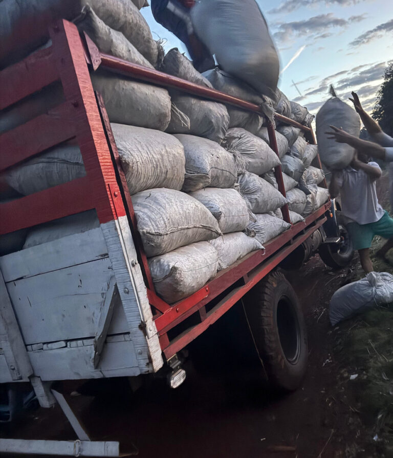 El Inym intervino e inutilizó más de 5.000 kilos de palitos en un procedimiento en Colonia Guaraní imagen-13