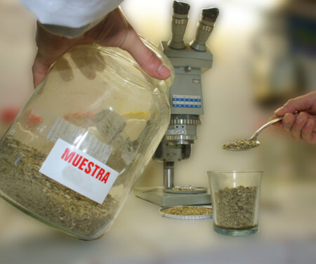 El Inym inutilizó yerba mate no apta para el consumo humano imagen-9