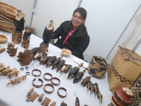 En la Bienal del Chaco el Premio Desafío 2024 fue para Misiones imagen-9