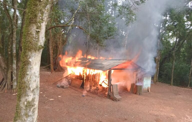 Wanda: Fuerzas de seguridad desalojaron a familias productoras, incendiaron las viviendas y destruyeron sus pertenencias imagen-16