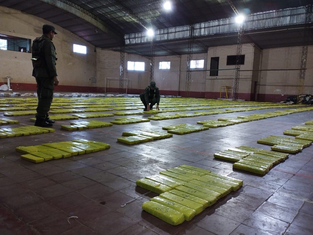 Gendarmes decomisan más de tres toneladas y media de marihuana imagen-4