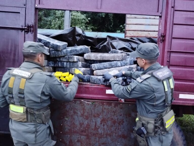 Gendarmes decomisan más de tres toneladas y media de marihuana imagen-30