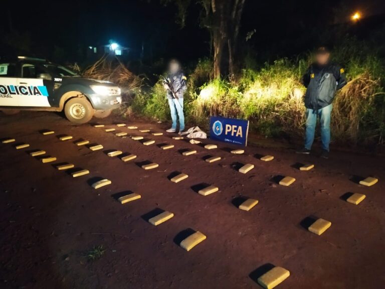 Eldorado: durante un operativo nocturno, incautaron 37 kilos de droga en cercanías al río Paraná imagen-4